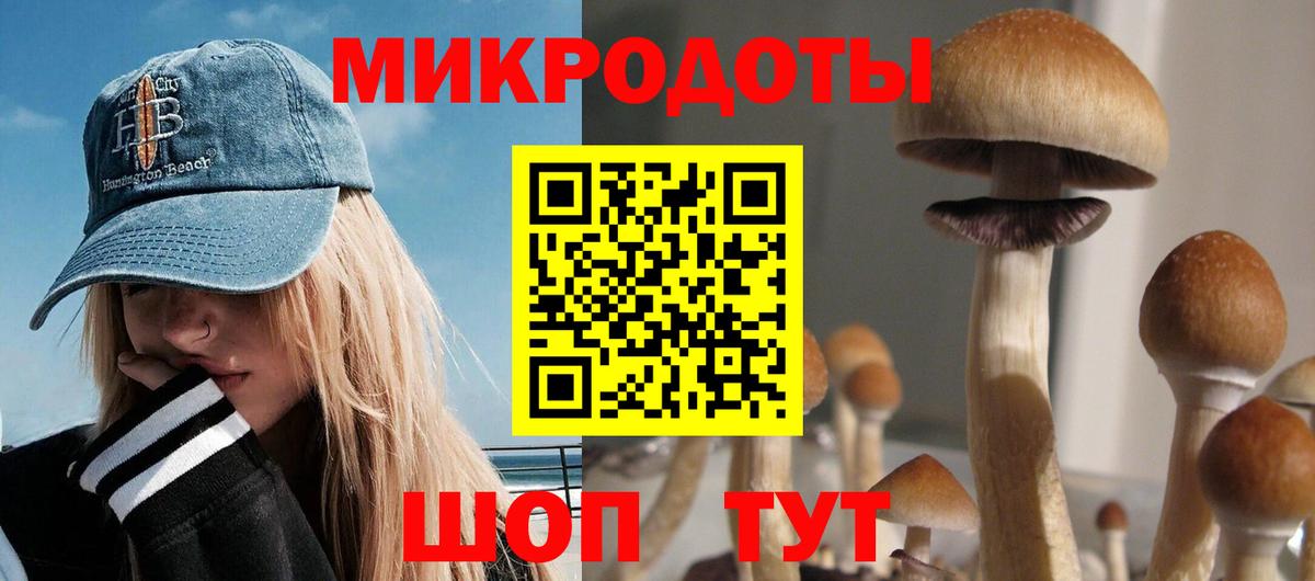 Бузулук  Псилоцибиновые грибы прущие грибы  Вход с VPN 