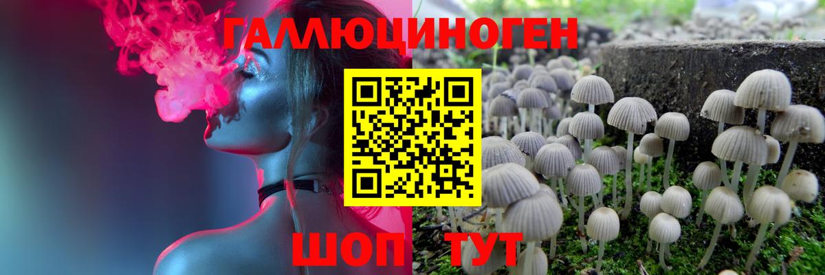 Псилоцибиновые грибы Psilocybe Бузулук